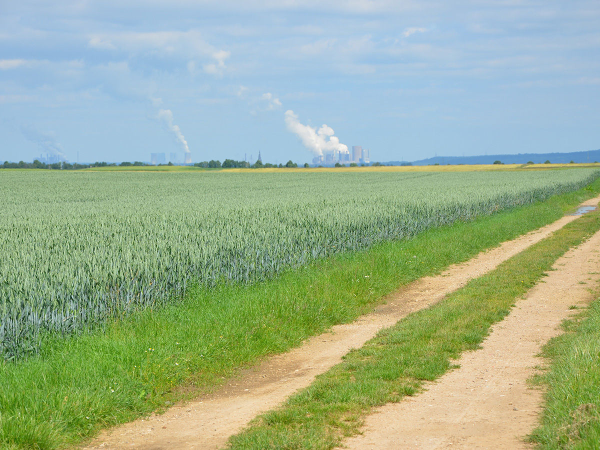 Landwirtschaft und Artenschutz