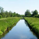 Keschern im Bach für kleine Wasserforscher*innen