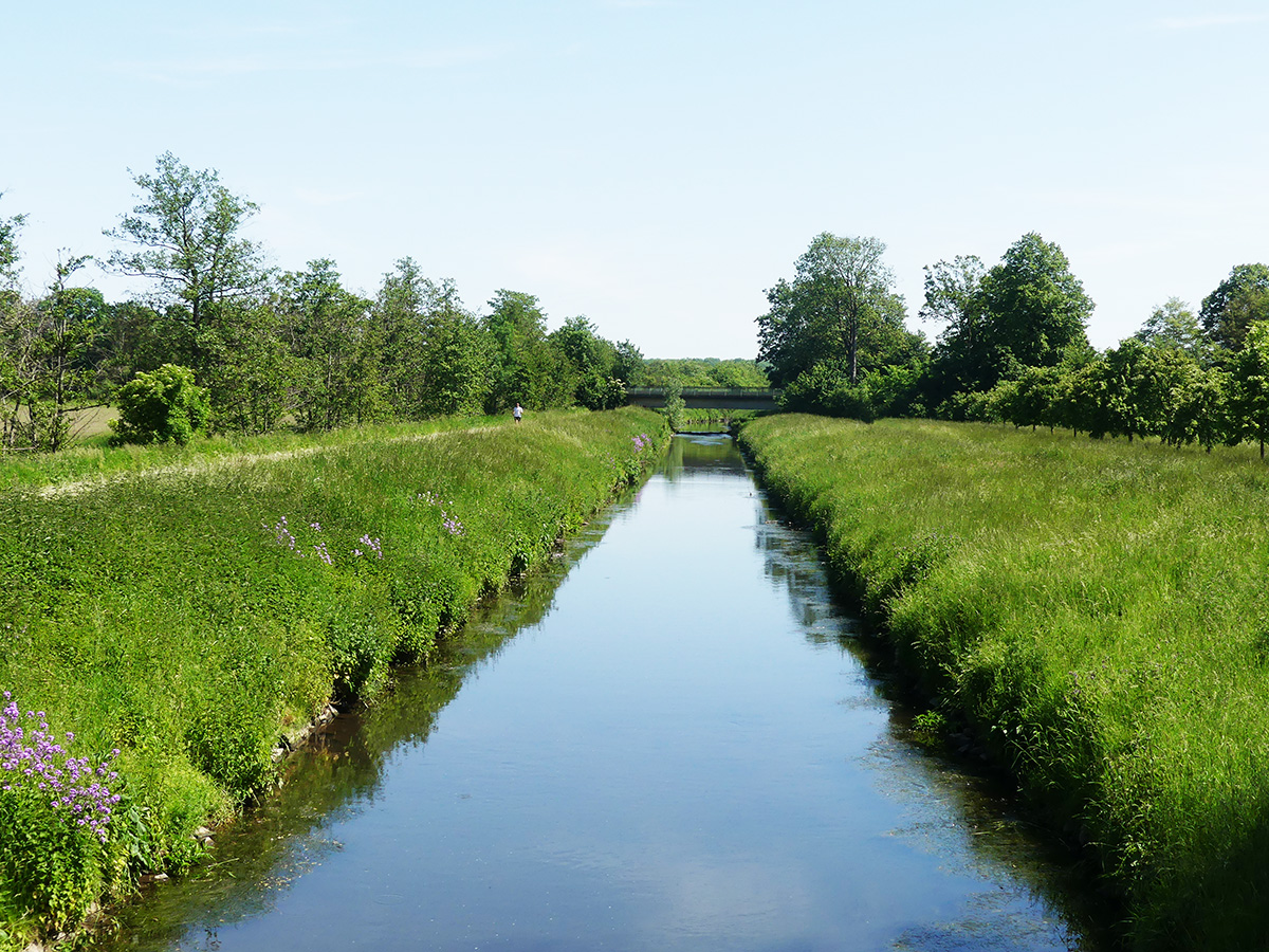 Keschern im Bach für kleine Wasserforscher*innen