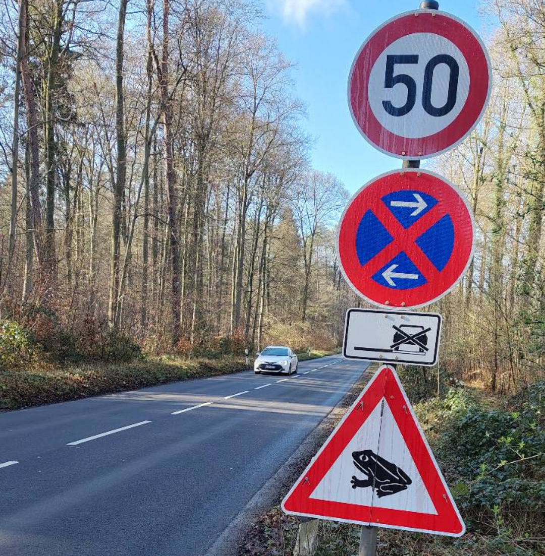 Amphibienschild