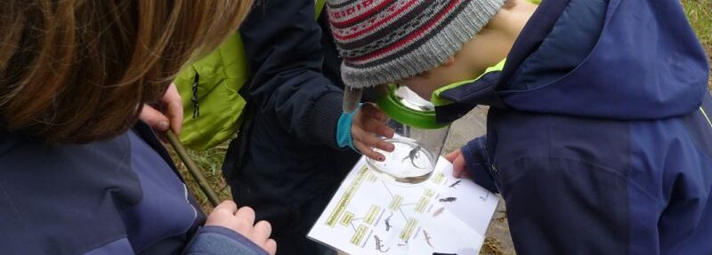Feld, Wald und Wiese im Winter – Kinder-Führung in Brühl-Heide