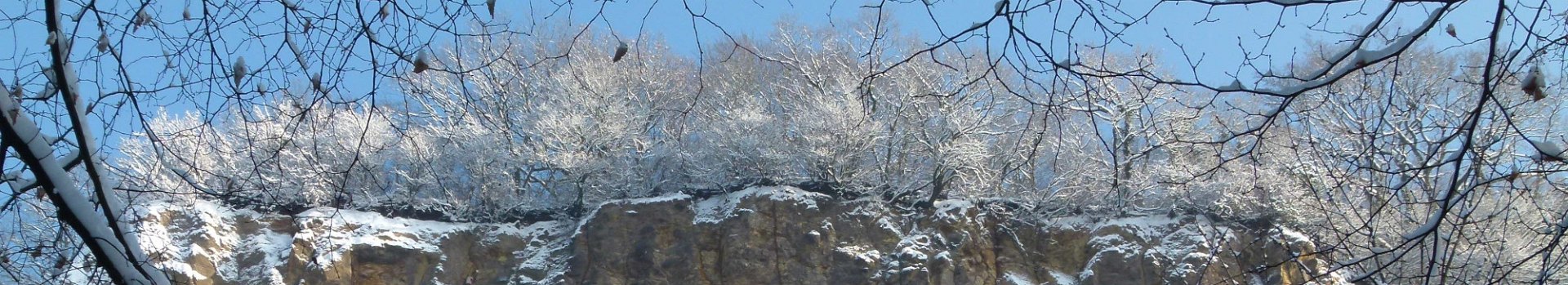 Ennert_Basaltwand