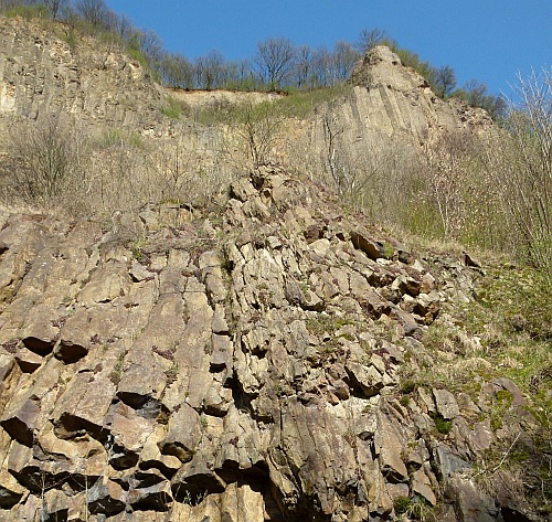 Frühling im Siebengebirge – Naturkundliche Wanderung im Bereich der Oberkasseler Steinbrüche