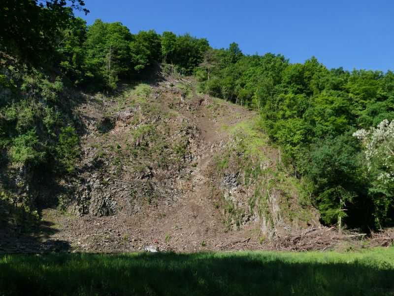 Das Naturschutzgebiet Lyngsberg