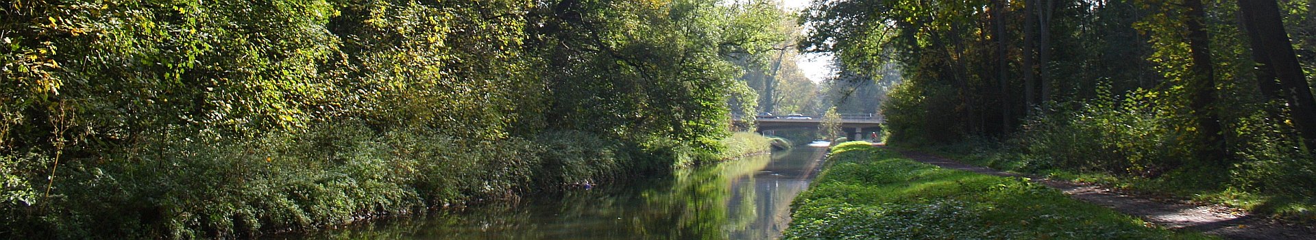 Erftflutkanal im NSG Parrig