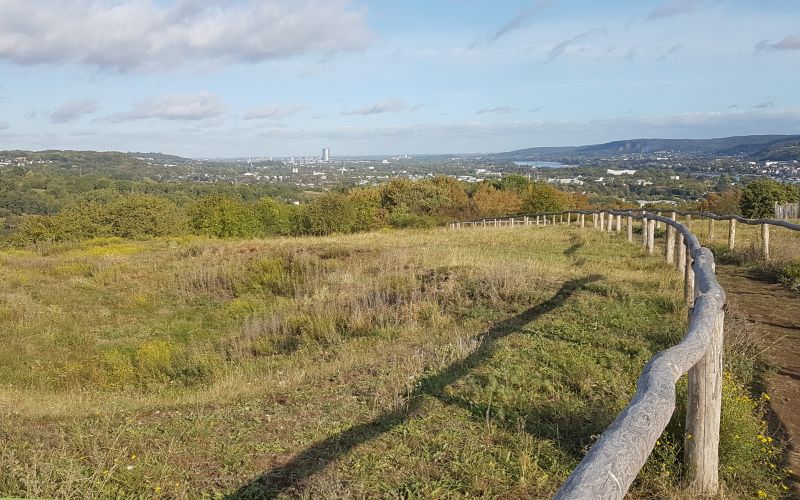 Das Naturschutzgebiet Rodderberg