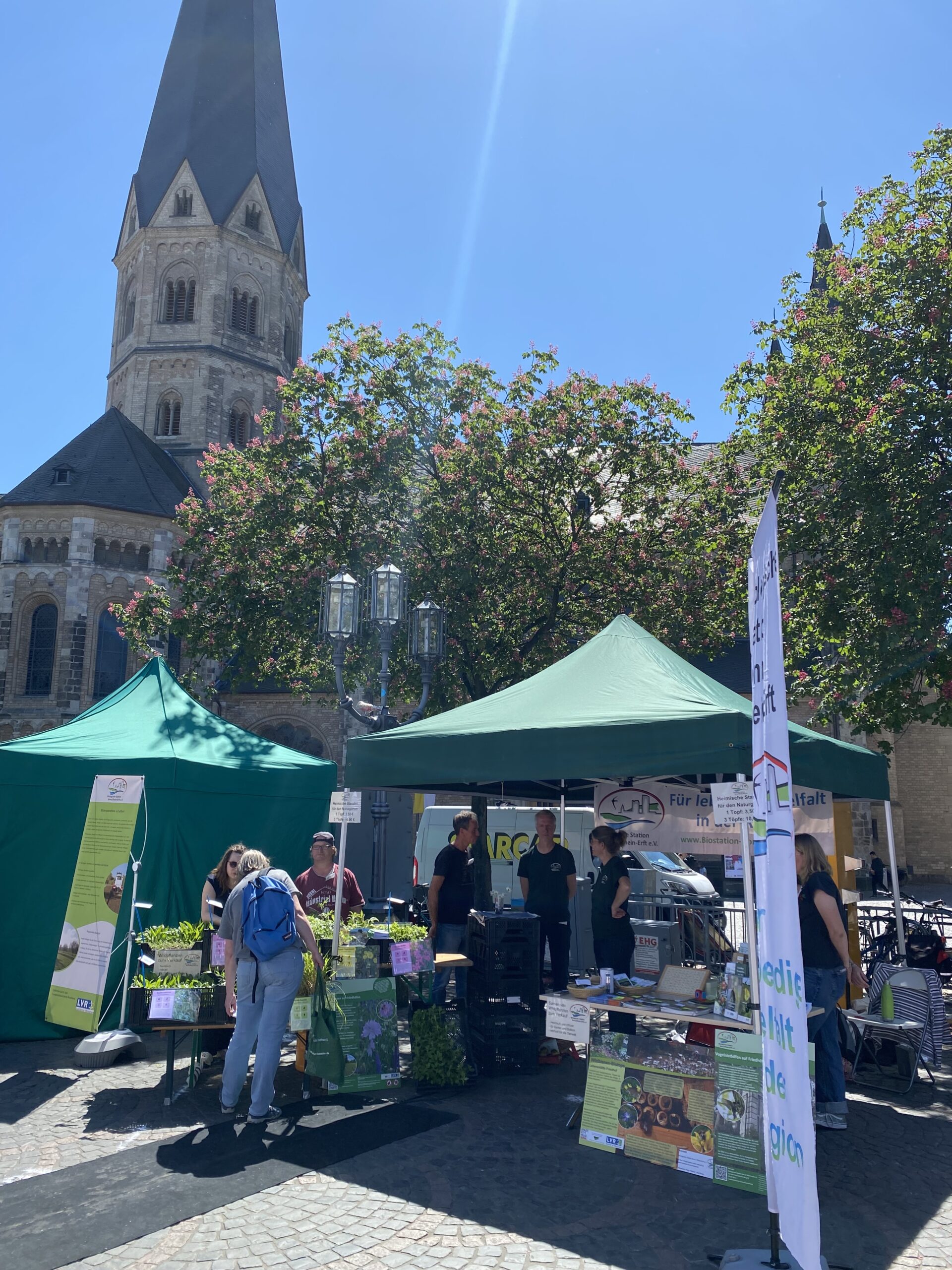 Frühlingsmarkt auf dem Bonner Münsterplatz