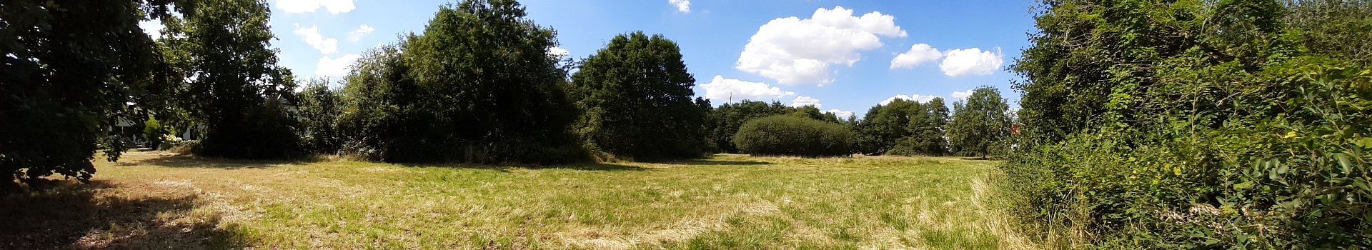 NSG Weiers Wiesen