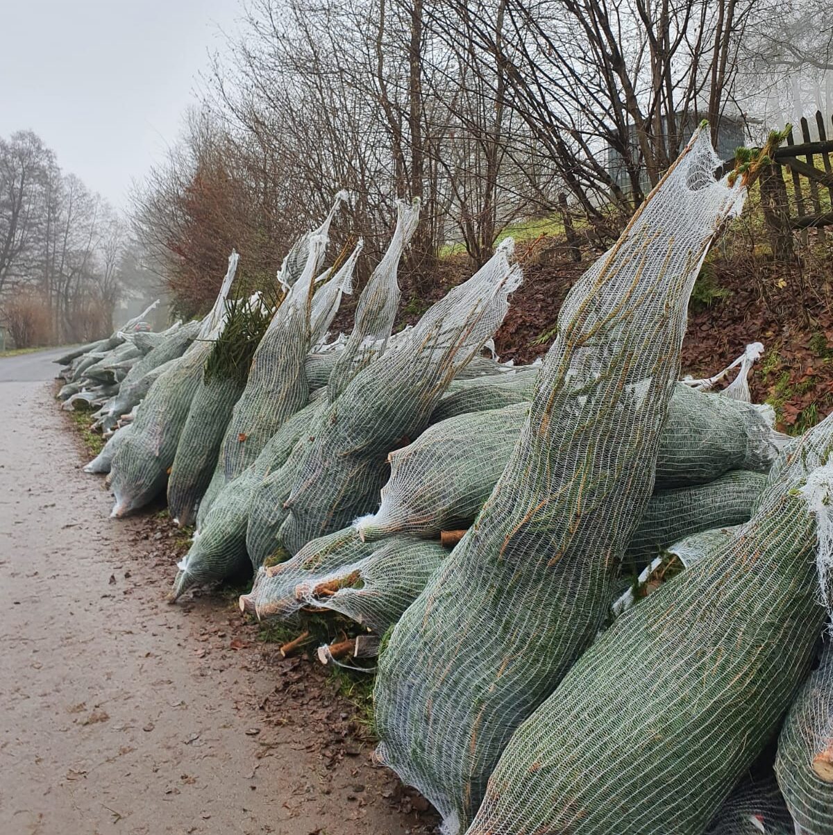 WhatsApp Image 2025-12-09 at 17.03.46