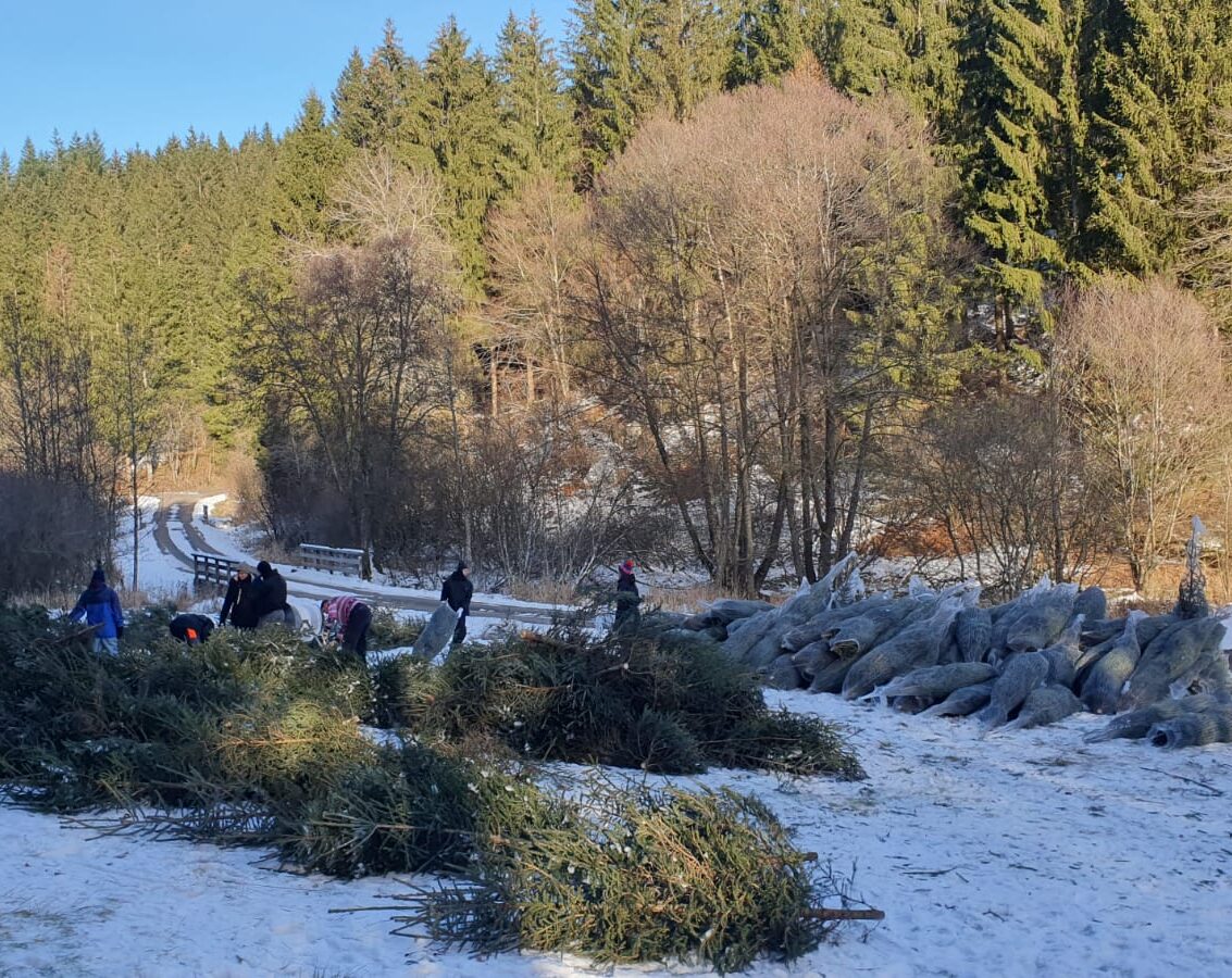 WhatsApp Image 2025-12-09 at 17.06.56 (1)