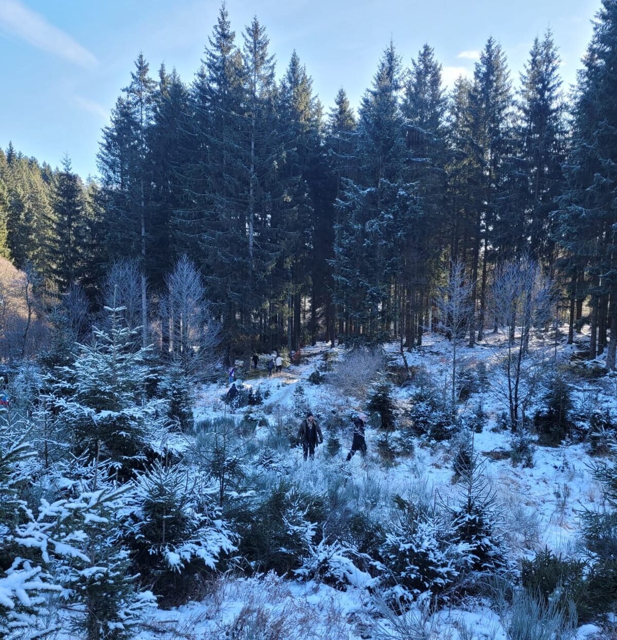 WhatsApp Image 2025-12-09 at 17.16.28 (1)