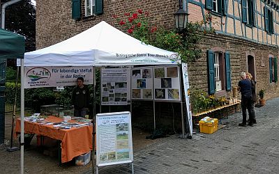 Frühlingsmarkt auf dem Bonner Münsterplatz