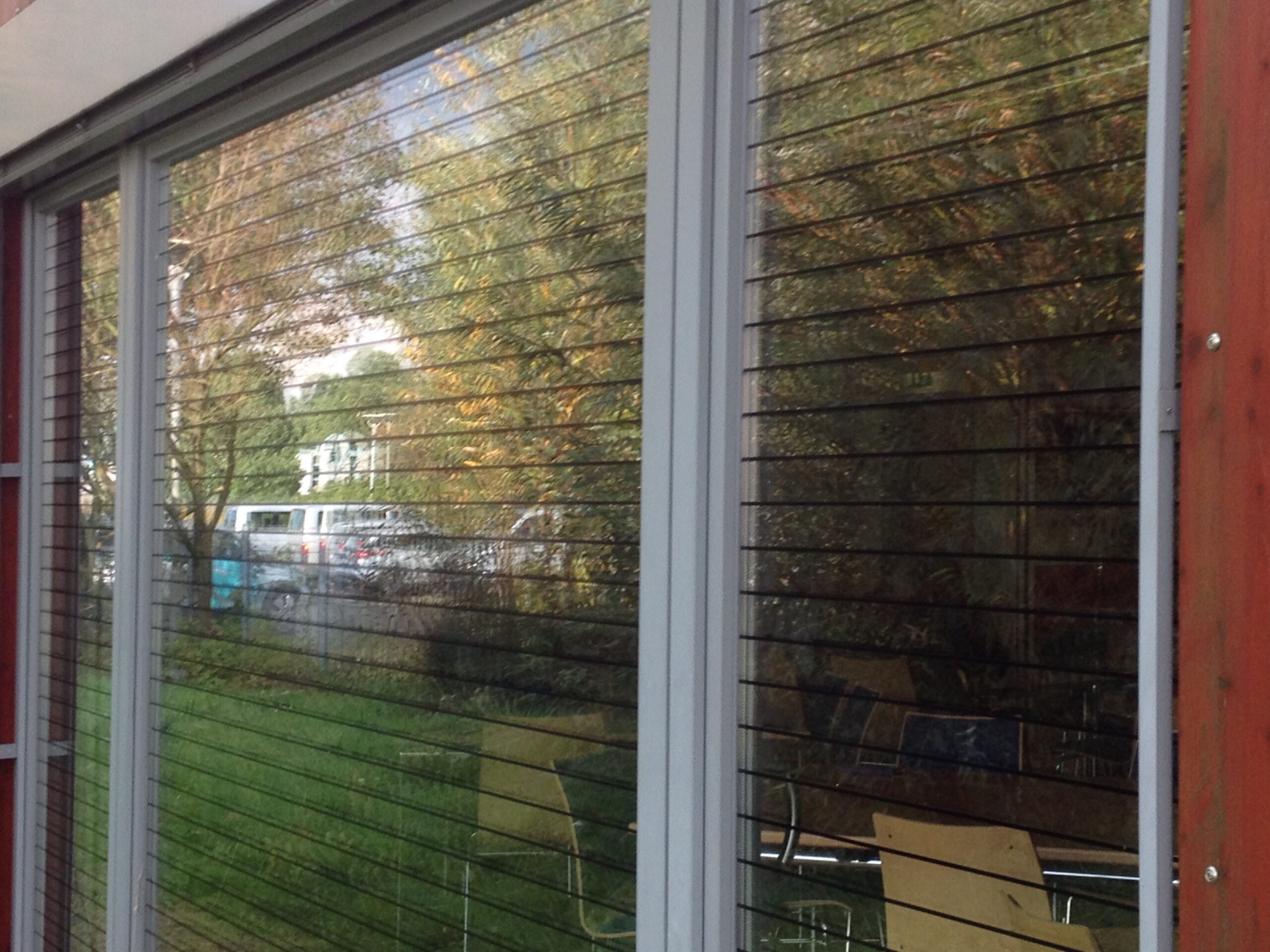 Online-Vortrag: Vogelfreundliches Bauen mit Glas